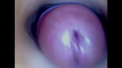 Paula 18 Aninhos online show from February 2025 02:34:02 PM