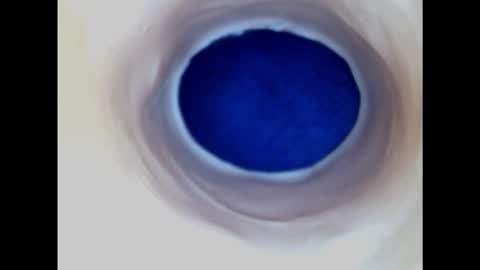 Paula 18 Aninhos online show from February 2025 03:23:02 AM