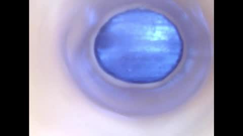 Paula 18 Aninhos online show from December 2025 02:28:01 AM