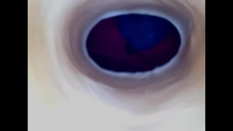 Paula 18 Aninhos online show from December 2025 05:57:01 AM