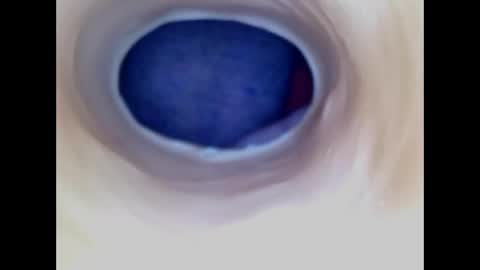 Snapshot of paulainoscente chatting on April 2026 05:30:01 PM Paula 18 Aninhos online show from April 2026 05:30:01 PM