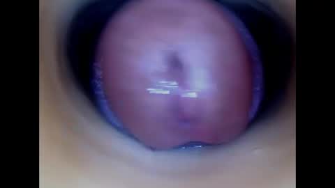 Snapshot of paulainoscente chatting on May 2026 12:57:02 PM Paula 18 Aninhos online show from May 2026 12:57:02 PM