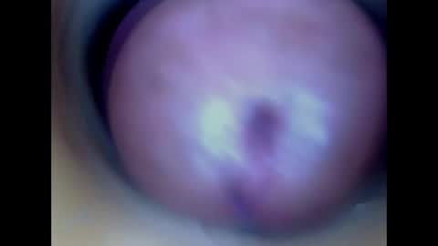 Snapshot of paulainoscente chatting on May 2026 01:03:01 AM Paula 18 Aninhos online show from May 2026 01:03:01 AM