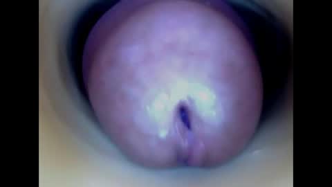 Snapshot of paulainoscente chatting on May 2026 01:08:02 PM Paula 18 Aninhos online show from May 2026 01:08:02 PM