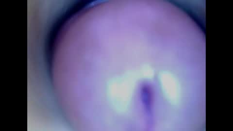 Snapshot of paulainoscente chatting on May 2026 02:40:01 AM Paula 18 Aninhos online show from May 2026 02:40:01 AM