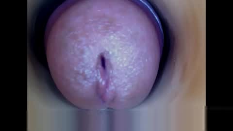 Snapshot of paulainoscente chatting on May 2026 02:01:02 PM Paula 18 Aninhos online show from May 2026 02:01:02 PM