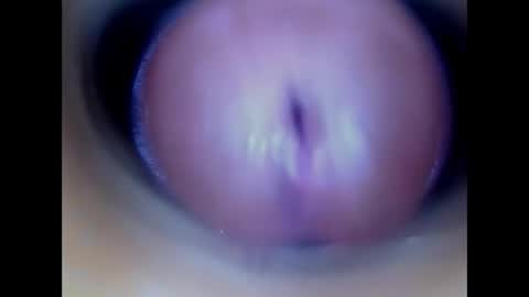 Snapshot of paulainoscente chatting on May 2026 01:51:01 PM Paula 18 Aninhos online show from May 2026 01:51:01 PM