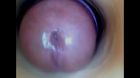 Snapshot of paulainoscente chatting on May 2026 01:57:16 AM Paula 18 Aninhos online show from May 2026 01:57:16 AM