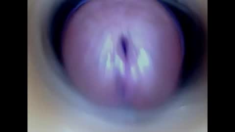 Snapshot of paulainoscente chatting on May 2026 03:48:01 AM Paula 18 Aninhos online show from May 2026 03:48:01 AM