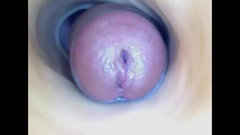 Snapshot of paulainoscente chatting on May 2026 05:09:01 PM Paula 18 Aninhos online show from May 2026 05:09:01 PM