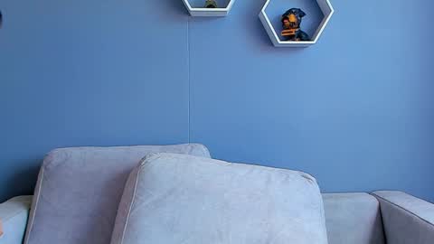 Paul Phoenix online show from January 2025 08:15:02 PM