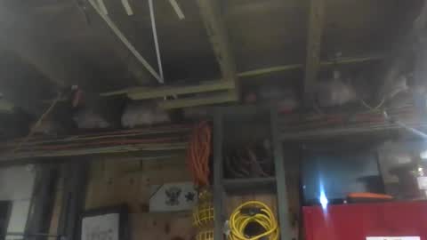 paulstetson online show from December 2024 10:43:02 PM