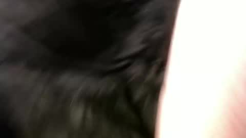 pauly online show from January 2025 11:16:02 AM