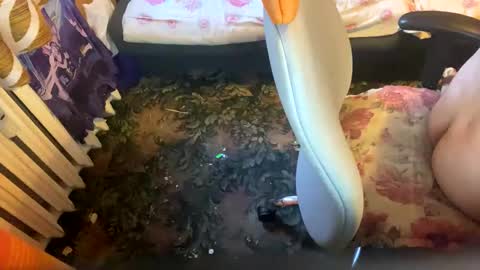 Snapshot of pawelmajster3 chatting on October 2025 03:35:02 PM pawelmajster3 online show from October 2025 03:35:02 PM