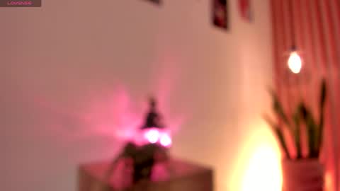 Snapshot of pawggirl18 chatting on June 2026 01:35:01 PM Dani online show from June 2026 01:35:01 PM