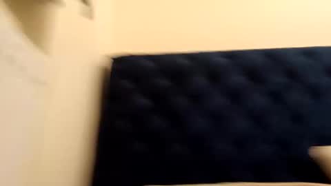 Paw online show from December 2024 05:36:01 AM