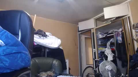 pc8474408 online show from March 2026 05:04:01 PM