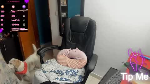 Tangerine Penaut online show from March 2026 12:06:02 AM