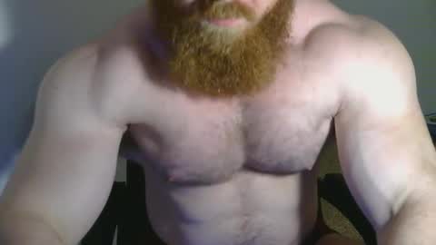 Pec inspector online show from February 2025 05:31:01 AM