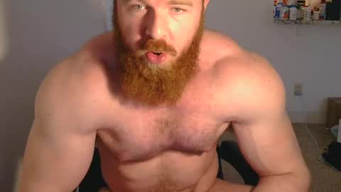 Pec inspector online show from March 2025 09:13:02 PM