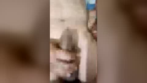pedrisito1456 online show from July 2026 01:05:02 AM