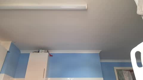 Snapshot of pedro199994 chatting on March 2025 08:56:02 AM Ginger Dick online show from March 2025 08:56:02 AM