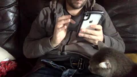 Snapshot of pedrotheamateur chatting on December 2024 12:38:01 PM pedrotheamateur online show from December 2024 12:38:01 PM