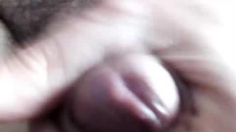 Snapshot of peiboluna chatting on February 2025 10:59:02 AM peiboluna online show from February 2025 10:59:02 AM