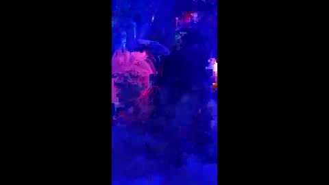 penrodscott7 online show from March 2026 11:24:02 AM