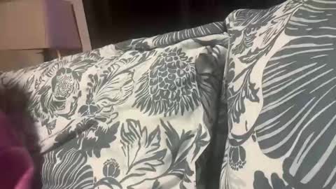 penutbutter691 online show from November 2025 11:27:01 PM