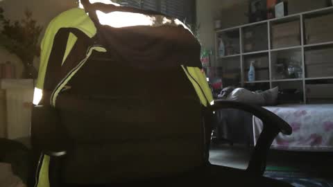 Snapshot of peregrintpelfox chatting on December 2025 10:20:02 AM peregrintpelfox online show from December 2025 10:20:02 AM