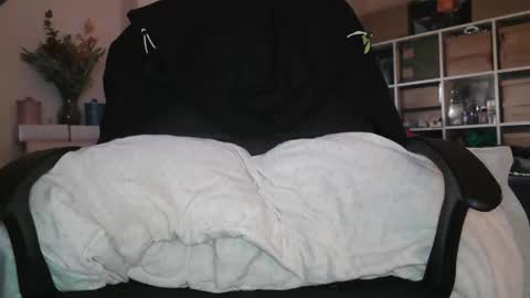 Snapshot of peregrintpelfox chatting on January 2026 09:04:02 AM peregrintpelfox online show from January 2026 09:04:02 AM