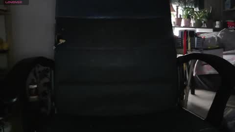 Snapshot of peregrintpelfox chatting on February 2026 09:04:02 AM peregrintpelfox online show from February 2026 09:04:02 AM