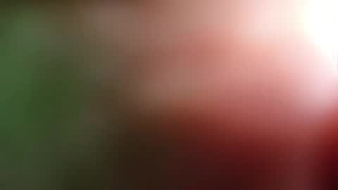 perla_lovely online show from May 2026 12:54:02 PM