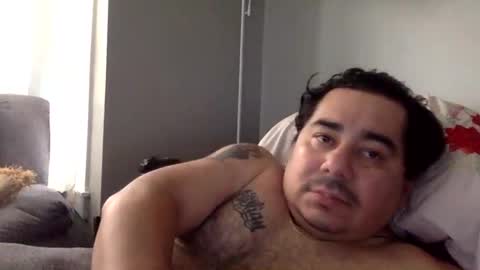 perro2010joshua online show from January 2025 03:52:02 PM