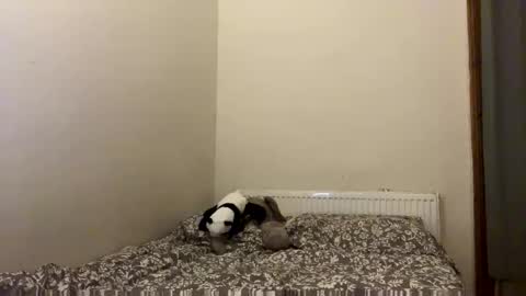 petal_lou02 online show from September 2025 11:06:02 PM