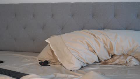 Peter Parker online show from December 2024 02:40:02 PM