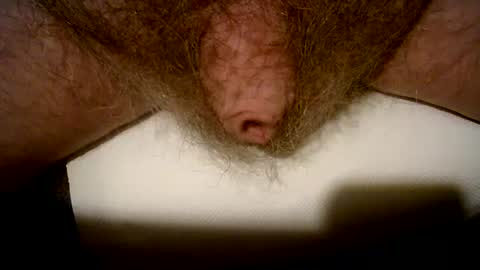 Snapshot of peterpeteropoulos chatting on February 2025 09:10:01 PM peterpeteropoulos online show from February 2025 09:10:01 PM