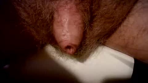 Snapshot of peterpeteropoulos chatting on February 2025 07:41:02 PM peterpeteropoulos online show from February 2025 07:41:02 PM