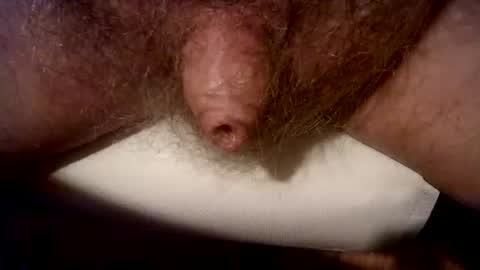 Snapshot of peterpeteropoulos chatting on March 2025 08:00:01 PM peterpeteropoulos online show from March 2025 08:00:01 PM