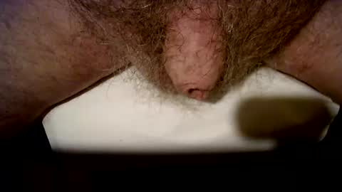 Snapshot of peterpeteropoulos chatting on October 2025 08:20:02 PM peterpeteropoulos online show from October 2025 08:20:02 PM