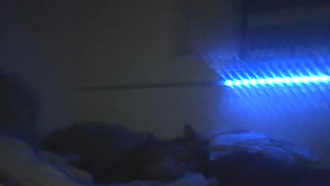 Snapshot of peterscherer620 chatting on February 2026 03:10:02 AM Pitsches online show from February 2026 03:10:02 AM