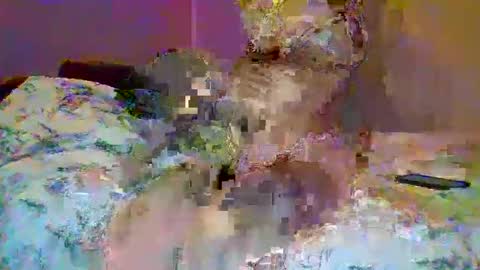 petite_baby23 online show from May 2026 10:36:01 PM