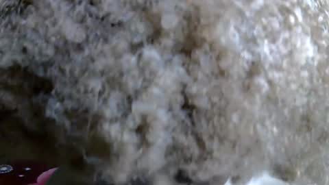 Snapshot of petitecaramell chatting on November 2025 11:05:01 PM Caramel online show from November 2025 11:05:01 PM