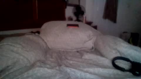 petrparkr2888 online show from July 2026 05:25:02 AM