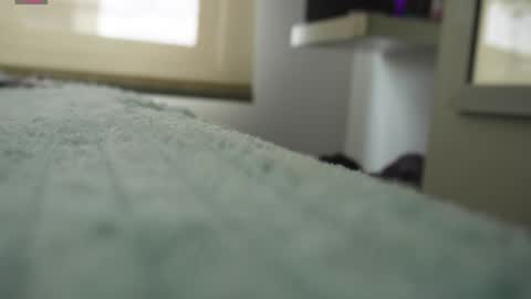 Pettercat online show from January 2025 06:24:02 PM