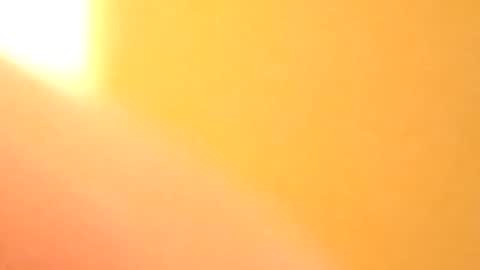 petw45 online show from February 2026 02:21:01 AM