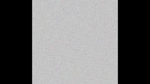 peytonn_monroe online show from December 2025 03:01:02 AM