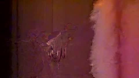 Snapshot of phantasypharrah chatting on December 2024 05:29:02 AM PharrahFR online show from December 2024 05:29:02 AM