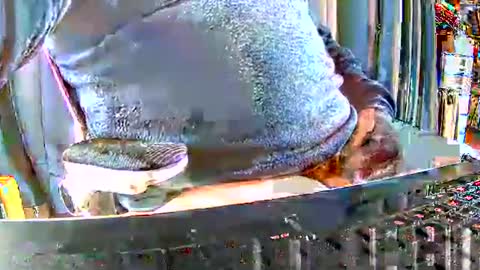 Snapshot of philache04 chatting on December 2025 09:46:02 AM Gabu online show from December 2025 09:46:02 AM